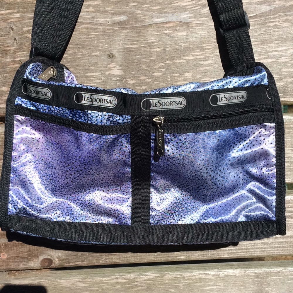 Iridescent Purse